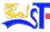 Shenzhen Fengshengtai Industrial Co., Ltd. FST LOGO