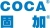 Shenzhen COCA Industrial Development Co., Ltd., Solid COCA LOGO