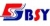 Shandong BaiShengyuan group Co., LTD. BSY LOGO