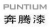 Pentium Paint Co., Ltd. Shandong PUNTIUM LOGO