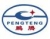 Jieyang Pengteng Electronics Co., Ltd. PENGTENG LOGO