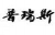 Chengdu Precise CNC Machine Tool Co., Ltd. PRECISECNC LOGO