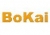 Changzhou bokai motor parts co., Ltd. BOKAI LOGO