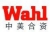 XIAN WAHL INSTRUMENT CO., LTD. Wahl LOGO