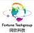 SHANGHAI FORTUNE TECHNOLOGY CO., LTD. FORTUNE LOGO