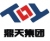 Xian TechTeam is a high technology group Co., Ltd. TECHTEAM LOGO
