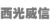 XIAN VISION OPTICAL ELECTRONIC CO., LTD. VISION LOGO