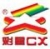 CHENGDU CAIXING TECHNOLOGY INDUSTRY CO., LTD. CAIXING LOGO