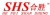 HEFEI SHANSHENG ELECTRONIC TECHNOLOGY CO., LTD. SHS LOGO