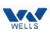 SHIJIAZHUANG WISDOM TECHNOLOGY CO., LTD. WISDOM LOGO