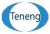 Shijiazhuang Teneng Electrical & Mechanical Equipment Co., Ltd TIENENG LOGO