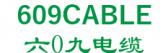 六0九电缆 609CABLE LOGO