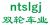 car in Nantong co., Ltd. ntslgj LOGO
