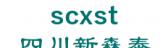 四川新森泰 scxst LOGO