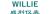 KAIFENG WILLIE INSTRUMENT CO., LTD. WILLIE LOGO
