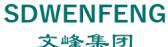 文峰集团 SDWENFENG LOGO
