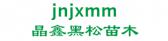 晶鑫黑松苗木 jnjxmm LOGO
