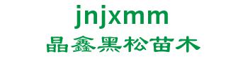 Junan jingxin black pine nursery stock cooperatives 晶鑫黑松苗木 jnjxmm LOGO