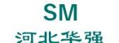 河北华强 SM LOGO