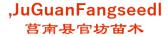 莒南县官坊苗木 ,JuGuanFangseedl LOGO